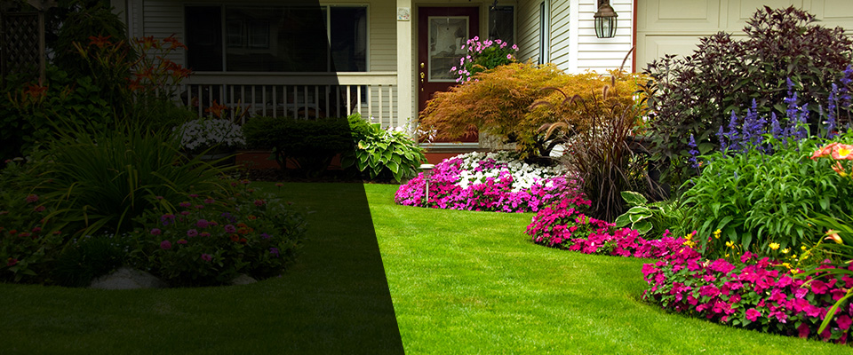 East Greenwich Landscapers