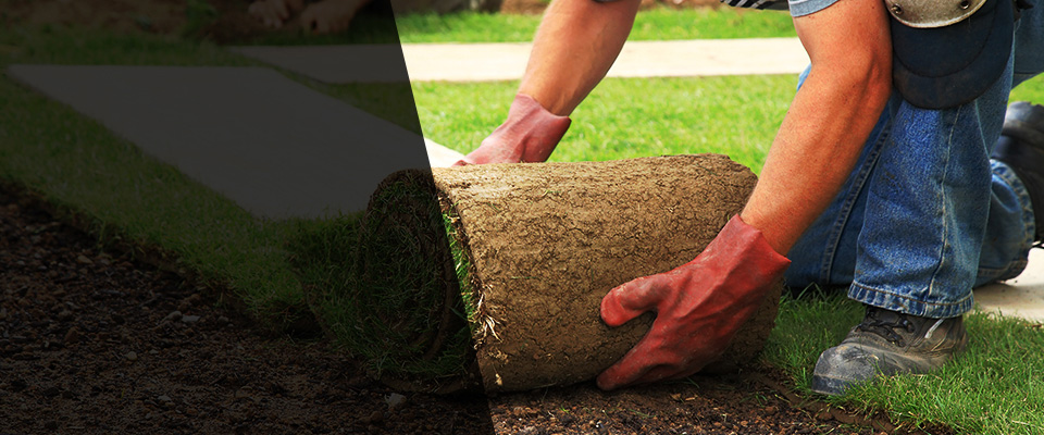East Greenwich Landscapers